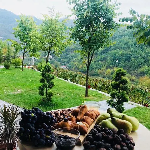 Bujtina Dini Hotel Rubik 0*,  Albania